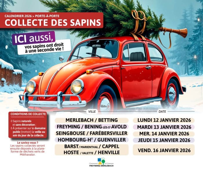 Votre sapin de Noël aura une seconde vie !